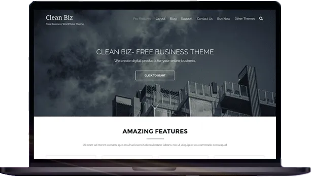 website design development